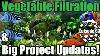 Adding Bog Filtration To My Aquariums U0026 Big Project Updates On Everything