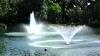Kasco 4400vfx Aerating Pond Fountain U0026 8400jf Linden Fountain