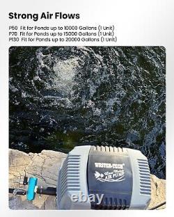 Pompe à air pour bassin à carpes Koi de 2,5 CFM avec minuteur jusqu'à 15000 gallons et valve réglable